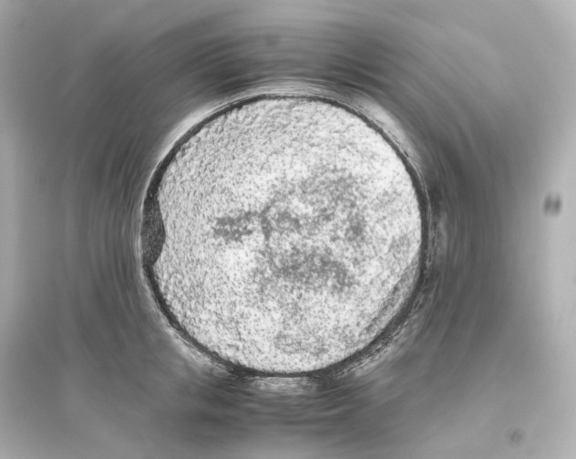 X0000093770853200711131210