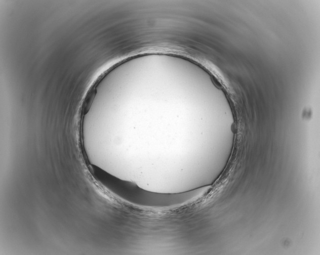 X0000093770854200711131210