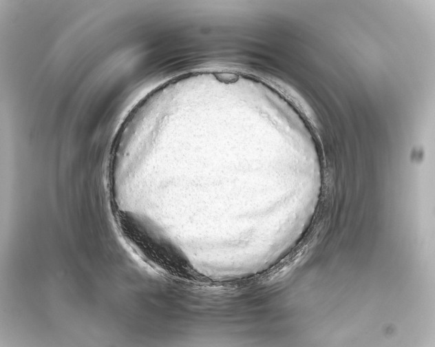 X0000093770855200711131210