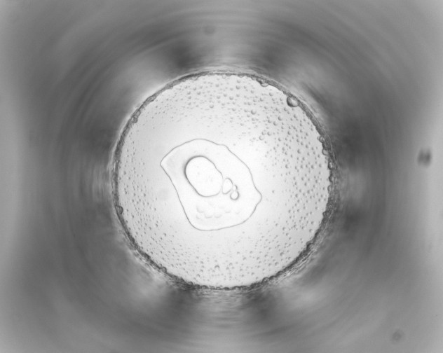 X0000093770856200711131210