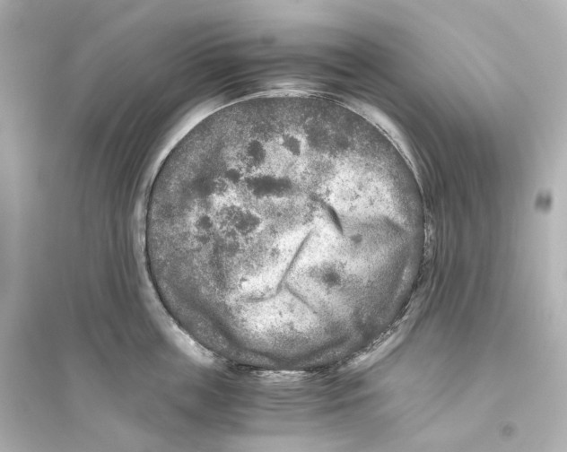 X0000093770859200711131210