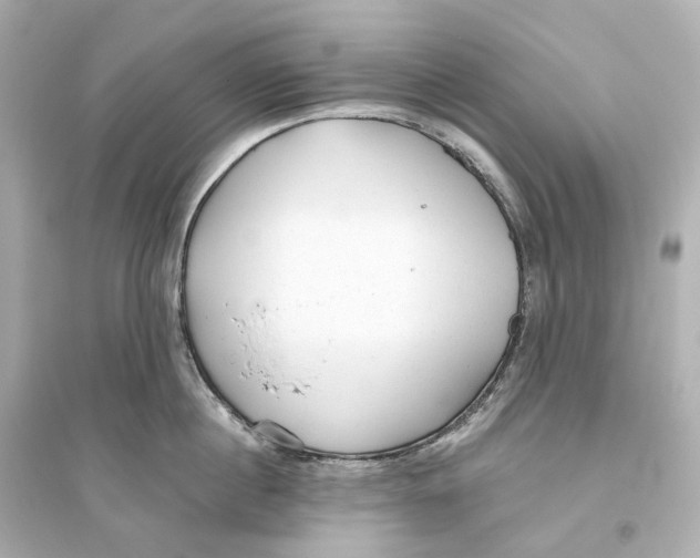 X0000093770860200711131210