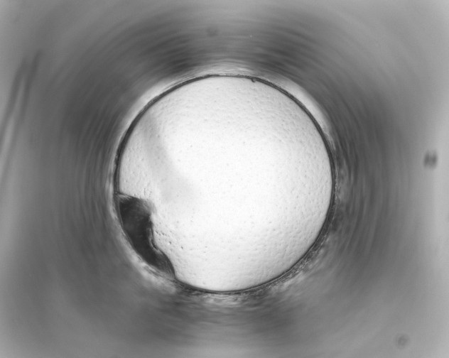 X0000093770861200711131210