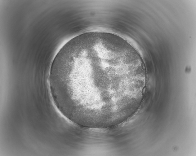 X0000093770863200711131210