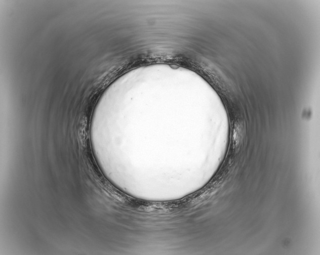 X0000093770867200711131209