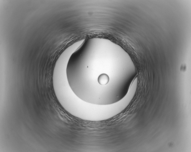 X0000093770868200711131209