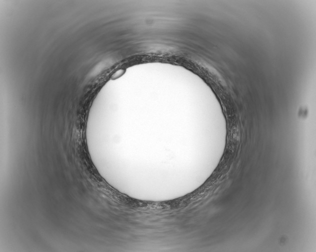 X0000093770869200711131209