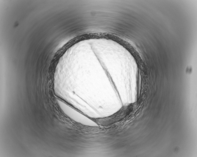 X0000093770871200711131209