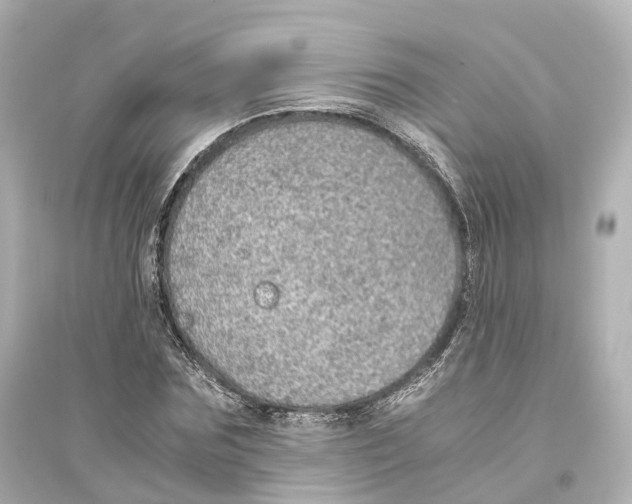 X0000093770875200711131209