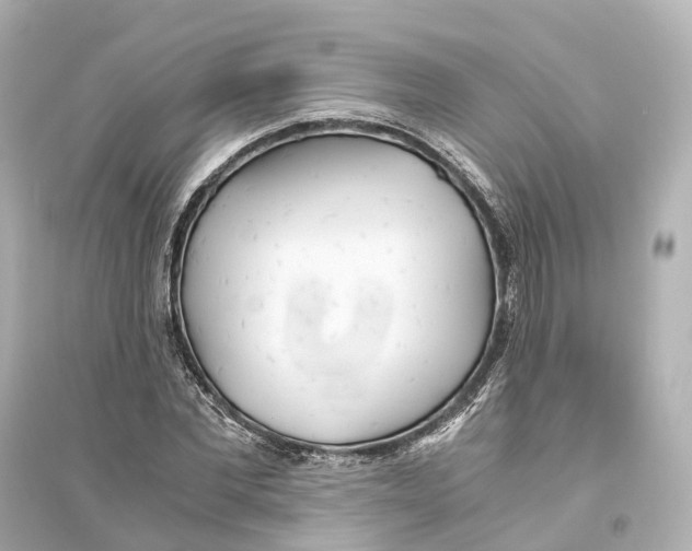 X0000093770877200711131209