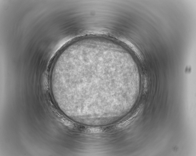 X0000093770878200711131209