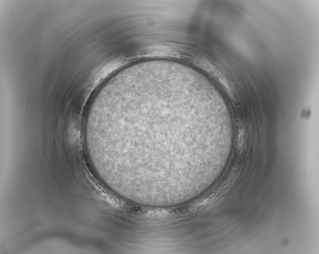 X0000093770882200711131209