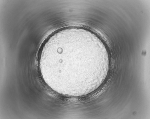 X0000093770883200711131209