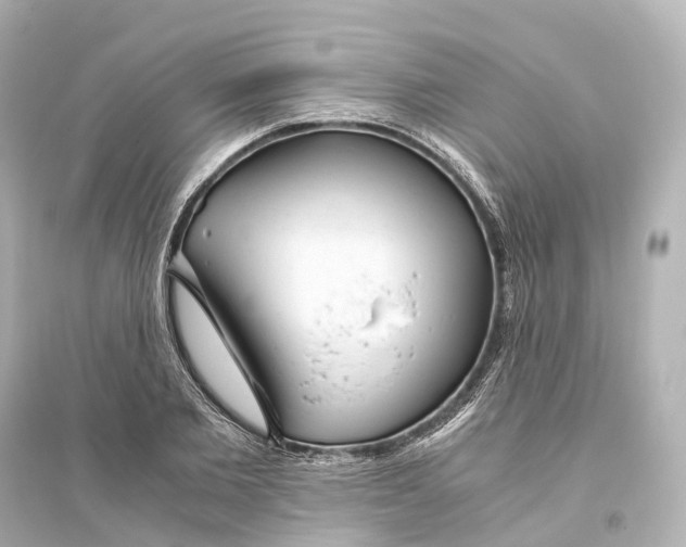 X0000093770885200711131209