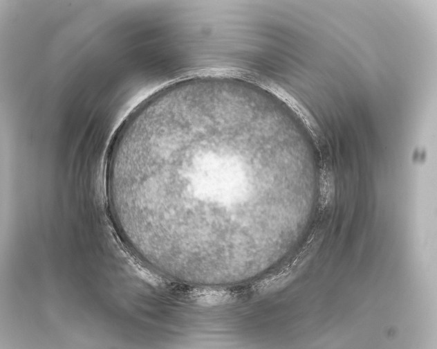 X0000093770886200711131209