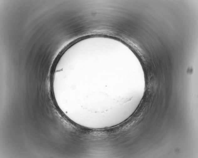 X0000093770888200711131209