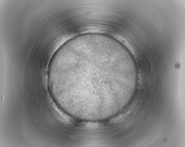 X0000093770890200711131209