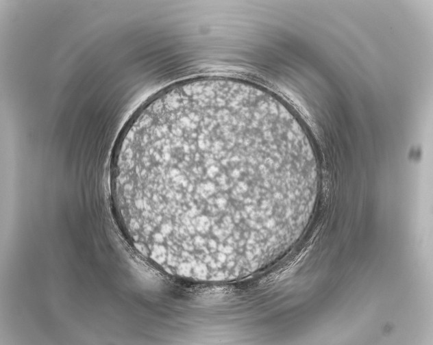 X0000093770891200711131209