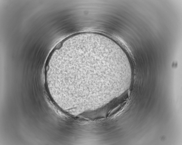 X0000093770892200711131209