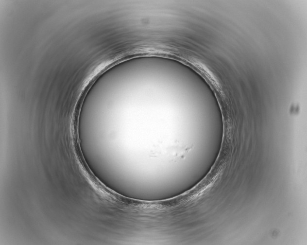 X0000093770893200711131209