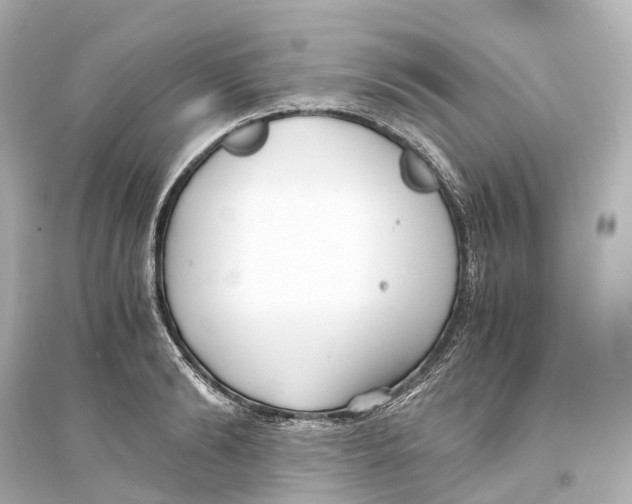 X0000093770894200711131209