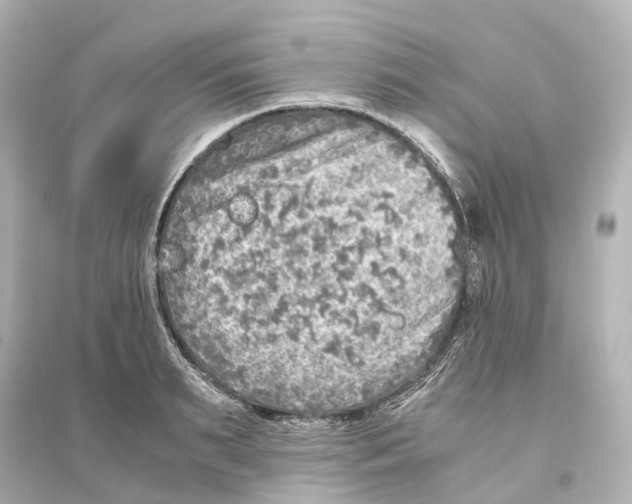 X0000093770895200711131209