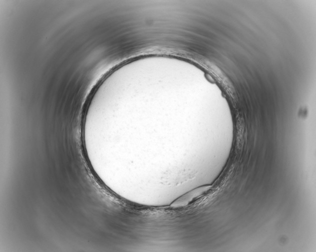 X0000093770896200711131209