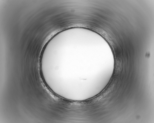 X0000093770898200711131209