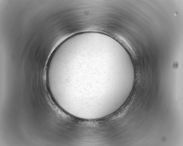 X0000093770900200711131209