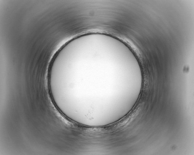 X0000093770902200711131209