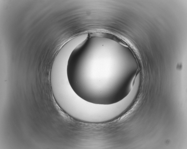 X0000093770905200711131209