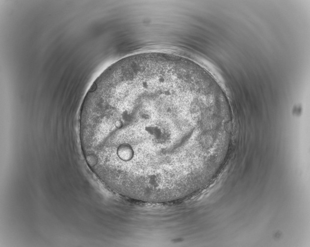 X0000093770907200711131209