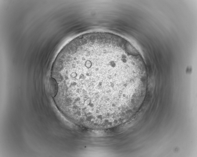 X0000093770911200711131208