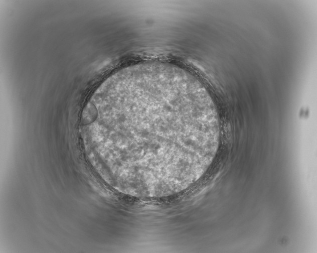 X0000093770913200711131208