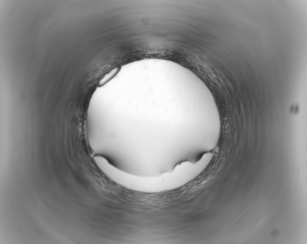 X0000093770916200711131208