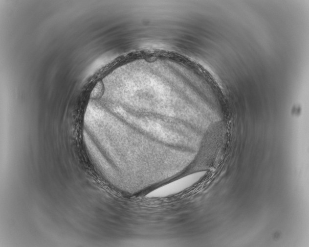 X0000093770919200711131208