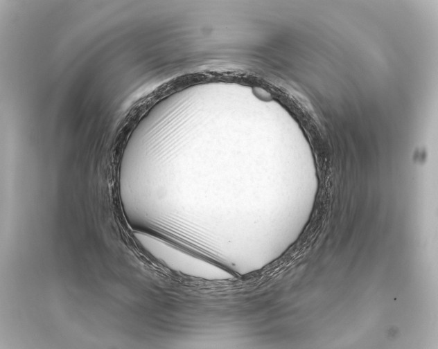 X0000093770920200711131208