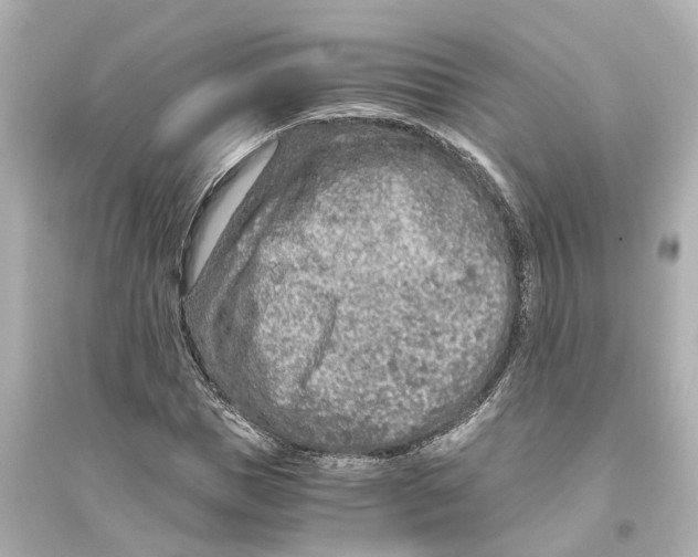 X0000093770921200711131208