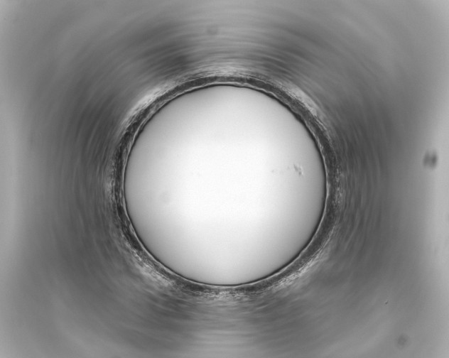 X0000093770922200711131208