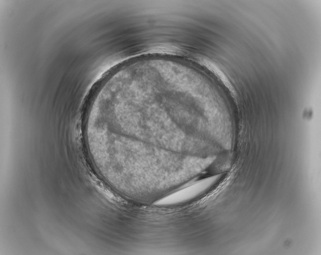 X0000093770923200711131208