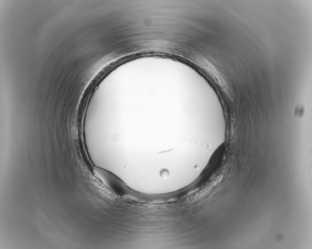 X0000093770924200711131208