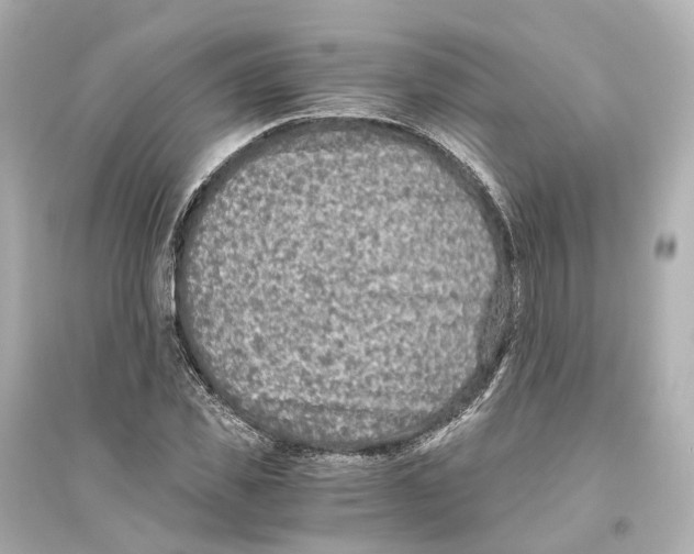 X0000093770925200711131208