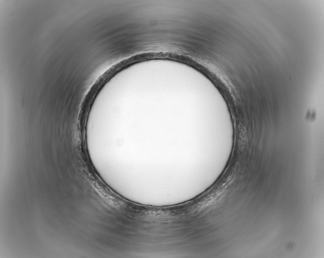 X0000093770927200711131208