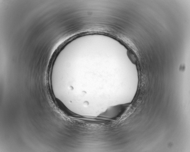 X0000093770928200711131208