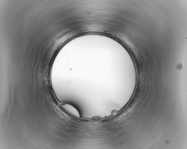 X0000093770930200711131208