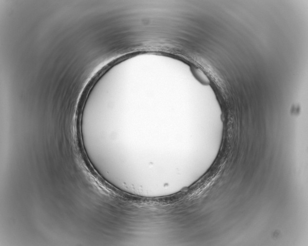 X0000093770932200711131208