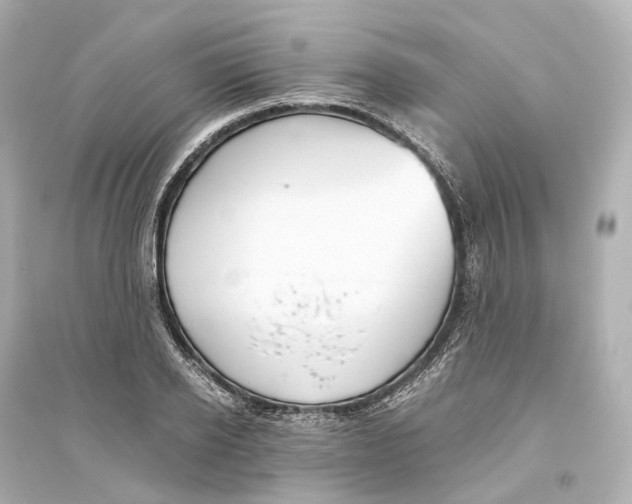 X0000093770934200711131208