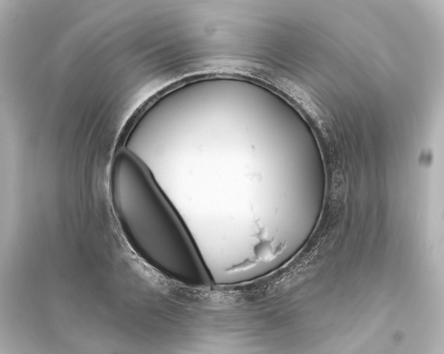 X0000093770936200711131208