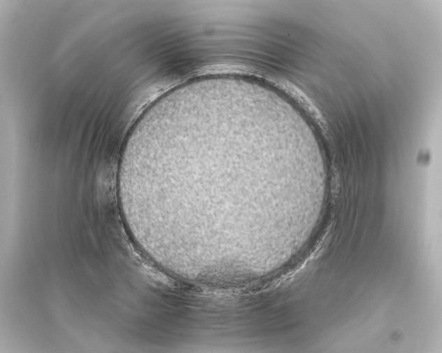 X0000093770937200711131208