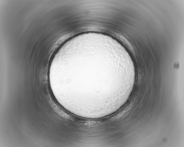 X0000093770938200711131208